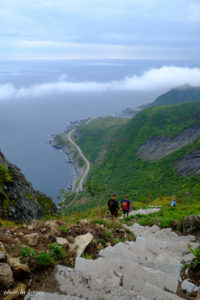 【ノルウェーの最も美しい村】レーヌ「Reine」ロフォーテン諸島の息をのむような絶景｜世界の美しい村案内人