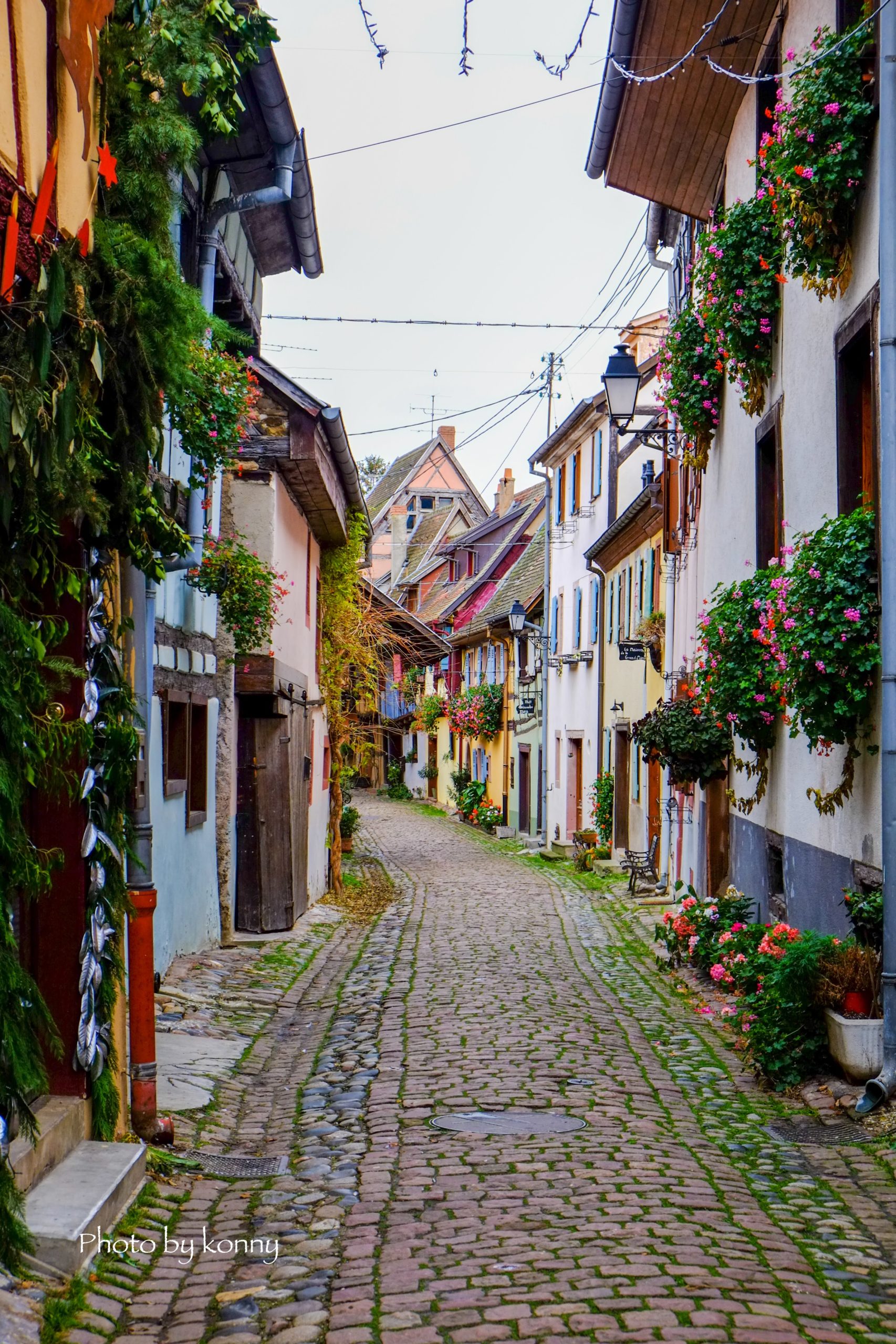 フランス 最も美しい村 エギスハイム