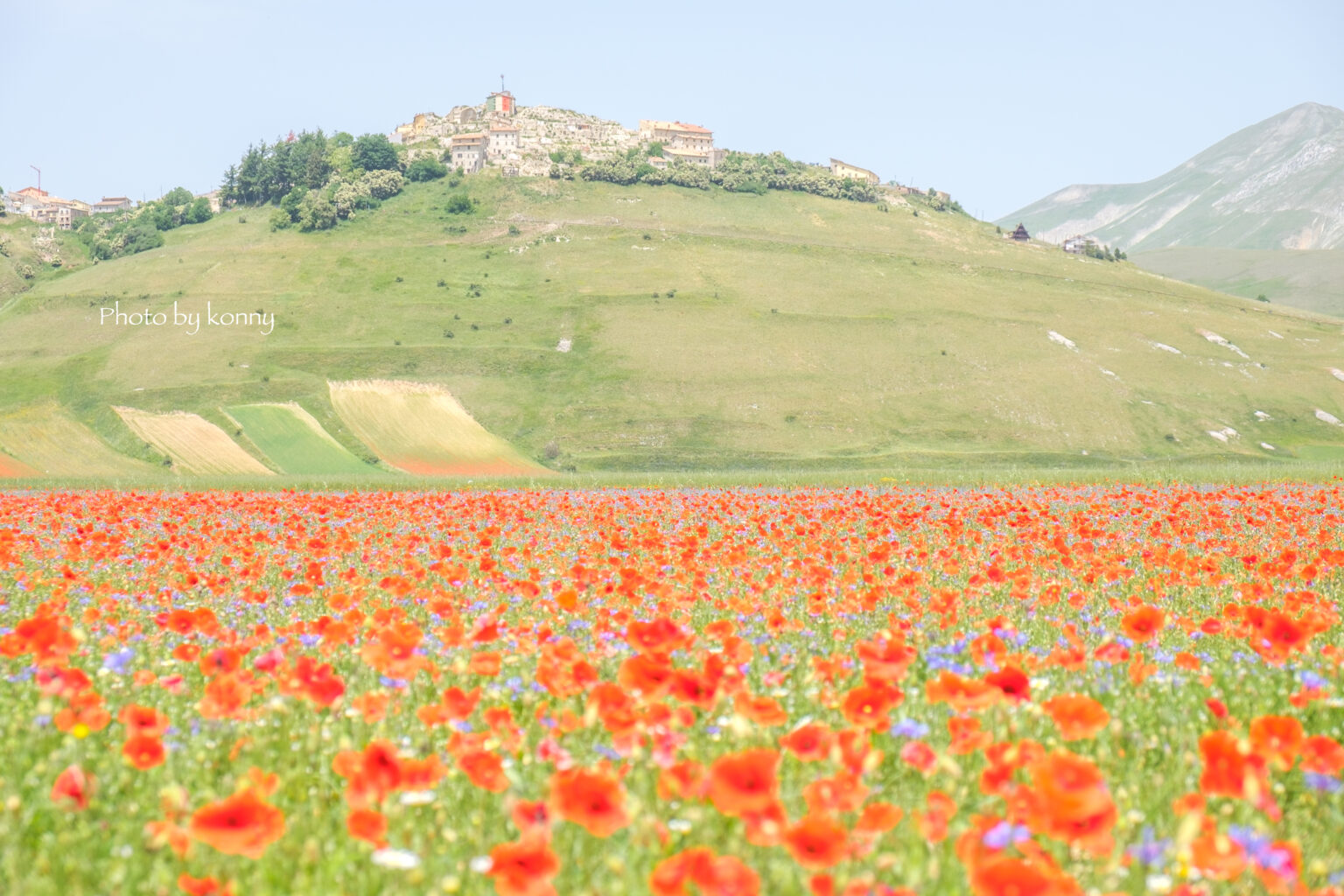 【期間限定の絶景!】イタリア、カステルッチョのお花畑|世界の美しい村案内人